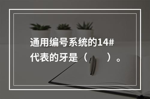 通用编号系统的14#代表的牙是（　　）。