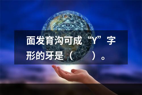 面发育沟可成“Y”字形的牙是（　　）。