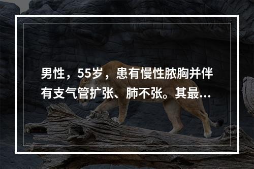 男性，55岁，患有慢性脓胸并伴有支气管扩张、肺不张。其最适宜