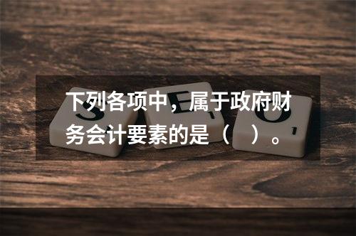 下列各项中，属于政府财务会计要素的是（　）。