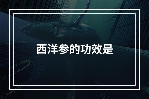 西洋参的功效是