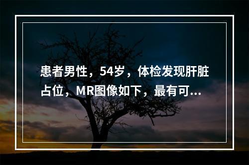 患者男性，54岁，体检发现肝脏占位，MR图像如下，最有可能的