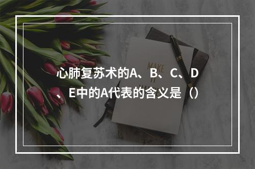 心肺复苏术的A、B、C、D、E中的A代表的含义是（）