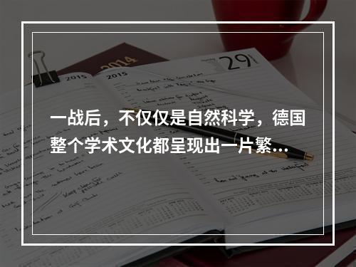 一战后，不仅仅是自然科学，德国整个学术文化都呈现出一片繁荣