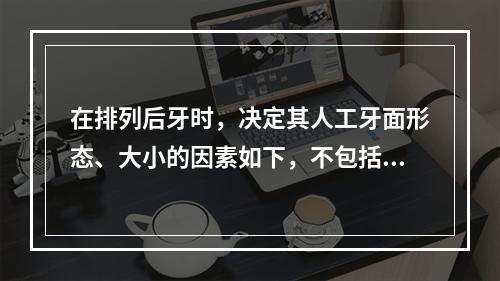 在排列后牙时，决定其人工牙面形态、大小的因素如下，不包括（