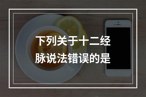 下列关于十二经脉说法错误的是