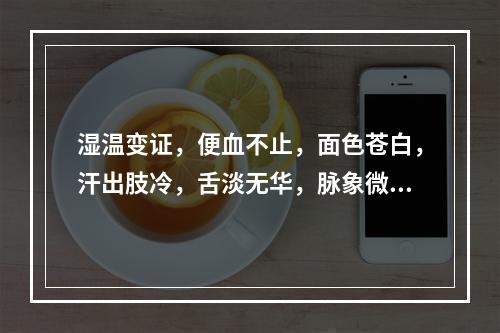 湿温变证，便血不止，面色苍白，汗出肢冷，舌淡无华，脉象微细。