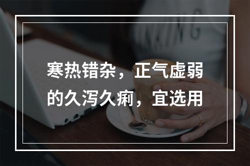 寒热错杂，正气虚弱的久泻久痢，宜选用