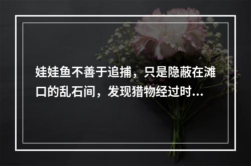 娃娃鱼不善于追捕，只是隐蔽在滩口的乱石间，发现猎物经过时，