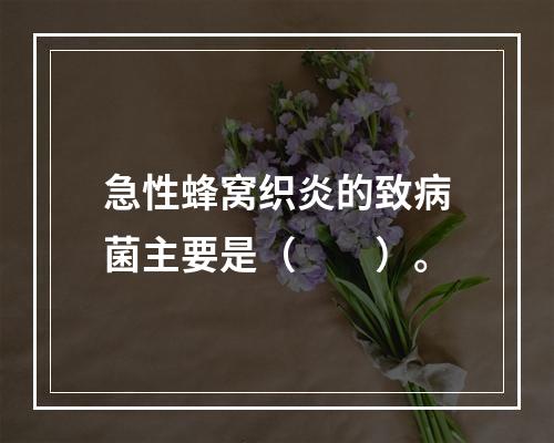 急性蜂窝织炎的致病菌主要是（　　）。