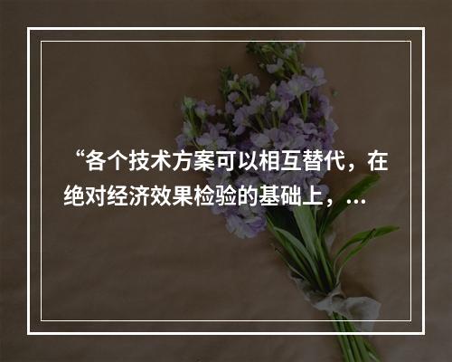 “各个技术方案可以相互替代，在绝对经济效果检验的基础上，进行