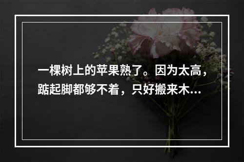 一棵树上的苹果熟了。因为太高，踮起脚都够不着，只好搬来木梯