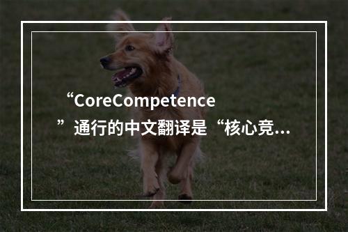 “CoreCompetence”通行的中文翻译是“核心竞争