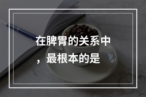 在脾胃的关系中，最根本的是