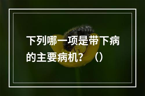 下列哪一项是带下病的主要病机？（）