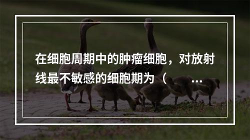 在细胞周期中的肿瘤细胞，对放射线最不敏感的细胞期为（　　）。