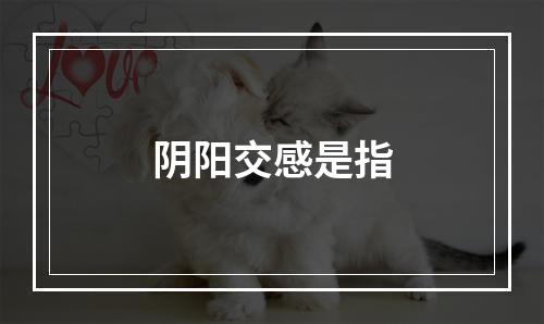 阴阳交感是指