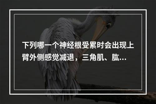 下列哪一个神经根受累时会出现上臂外侧感觉减退，三角肌、肱二头