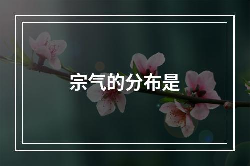 宗气的分布是