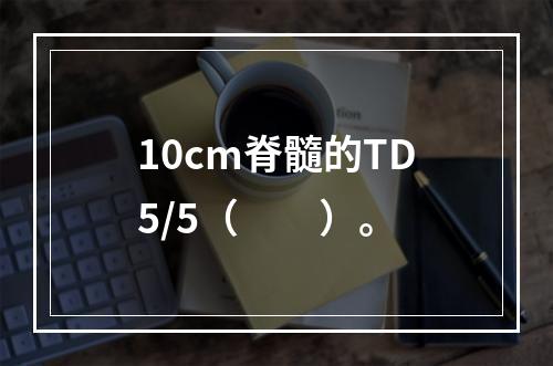 10cm脊髓的TD5/5（　　）。