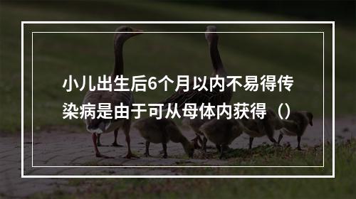 小儿出生后6个月以内不易得传染病是由于可从母体内获得（）