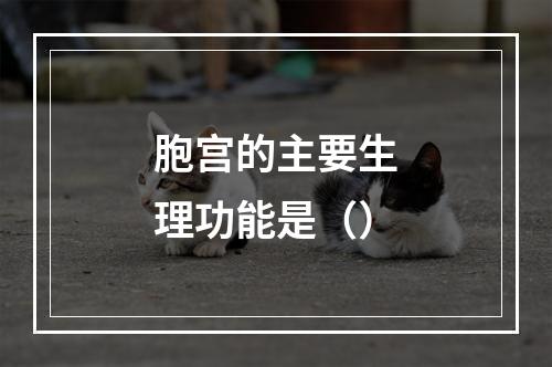 胞宫的主要生理功能是（）