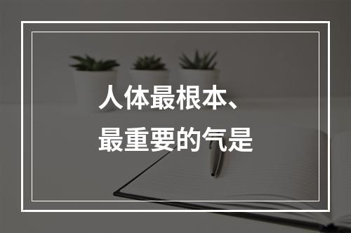 人体最根本、最重要的气是