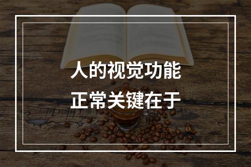 人的视觉功能正常关键在于