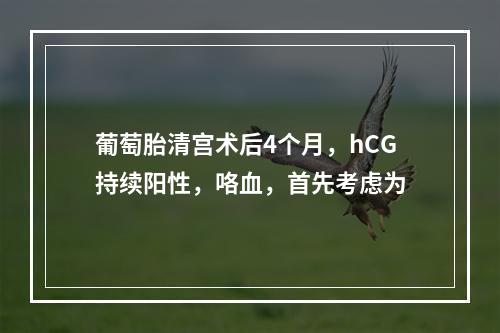 葡萄胎清宫术后4个月，hCG持续阳性，咯血，首先考虑为