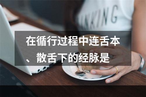 在循行过程中连舌本、散舌下的经脉是