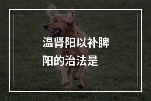 温肾阳以补脾阳的治法是