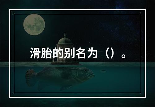 滑胎的别名为（）。