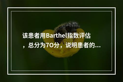 该患者用Barthel指数评估，总分为7O分，说明患者的AD