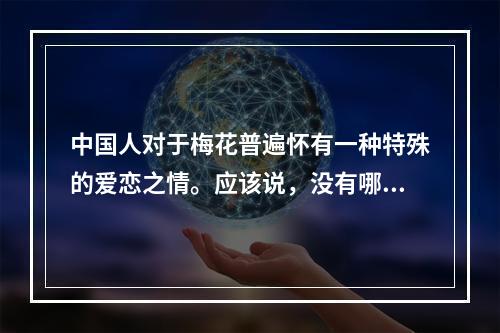 中国人对于梅花普遍怀有一种特殊的爱恋之情。应该说，没有哪一