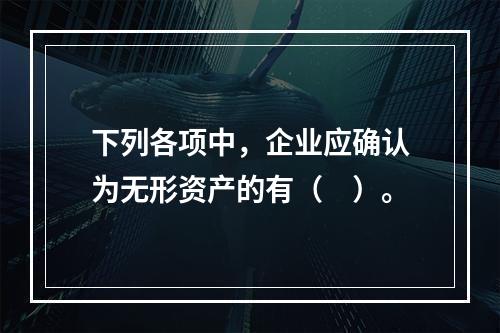 下列各项中，企业应确认为无形资产的有（　）。