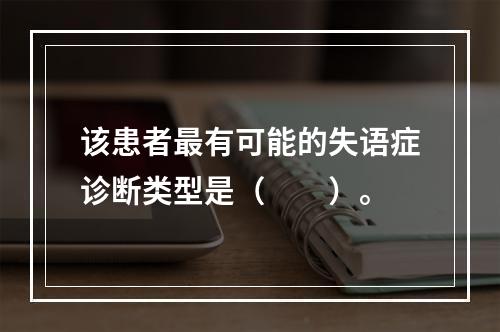 该患者最有可能的失语症诊断类型是（　　）。