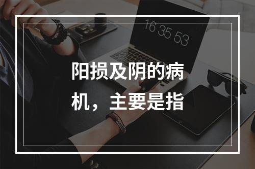 阳损及阴的病机，主要是指