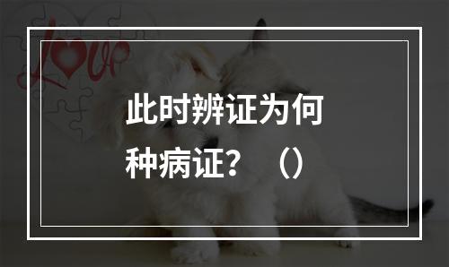 此时辨证为何种病证？（）