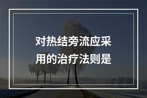 对热结旁流应采用的治疗法则是