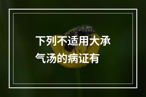 下列不适用大承气汤的病证有