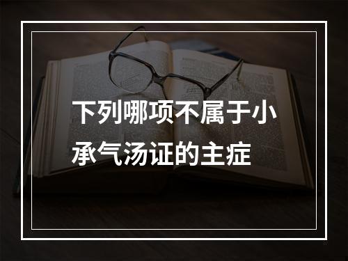 下列哪项不属于小承气汤证的主症