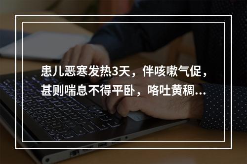 患儿恶寒发热3天，伴咳嗽气促，甚则喘息不得平卧，咯吐黄稠痰，