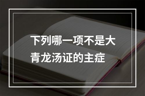 下列哪一项不是大青龙汤证的主症