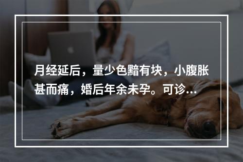 月经延后，量少色黯有块，小腹胀甚而痛，婚后年余未孕。可诊断为