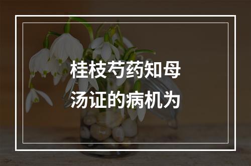 桂枝芍药知母汤证的病机为