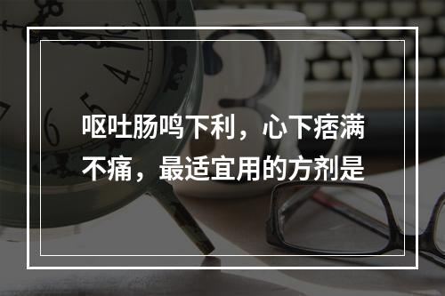 呕吐肠鸣下利，心下痞满不痛，最适宜用的方剂是