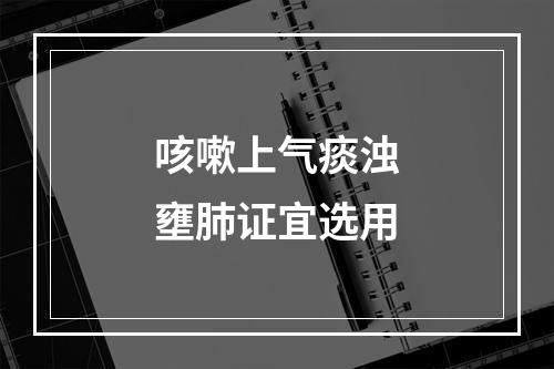 咳嗽上气痰浊壅肺证宜选用