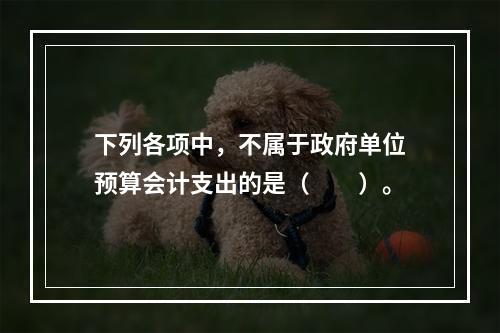 下列各项中，不属于政府单位预算会计支出的是（　　）。