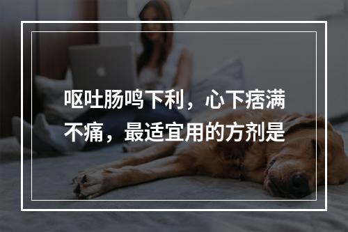 呕吐肠鸣下利，心下痞满不痛，最适宜用的方剂是