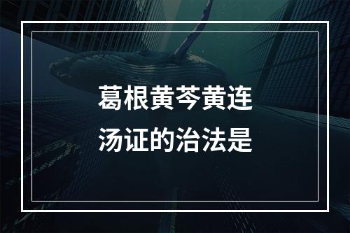 葛根黄芩黄连汤证的治法是